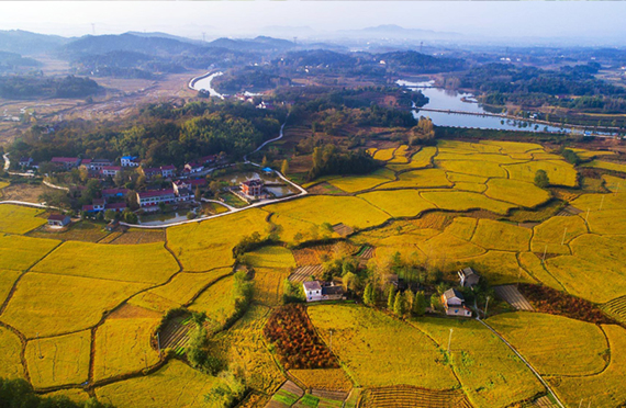 高水碘地區(qū)可以做哪些防治措施？