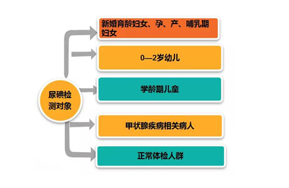 為什么要測碘？測碘的重要性有哪些？