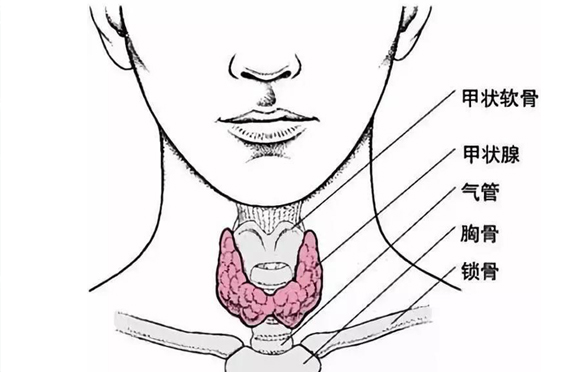 如何預(yù)防甲狀腺癌？
